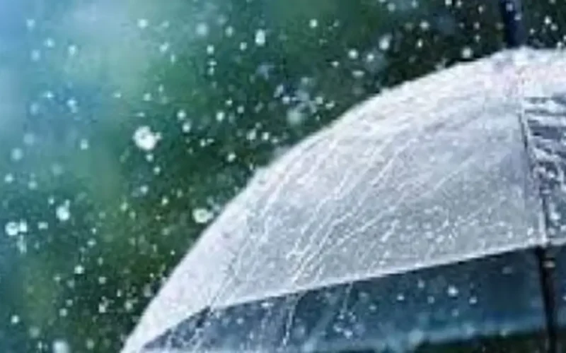 تفاصيل جديدة.. شبورة وأمطار وانخفاض حرارة في الأسبوع المقبل